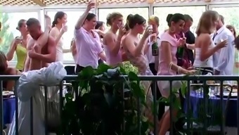 Lewd cowgirls get fucked silly at a kinky wedding after party