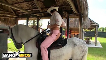 Rachel Starr'S Horse Riding Skills Compared To Her Sexual Abilities