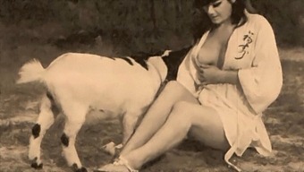 Classic And Taboo: Vintage Erotica With Dogs And Vaginas